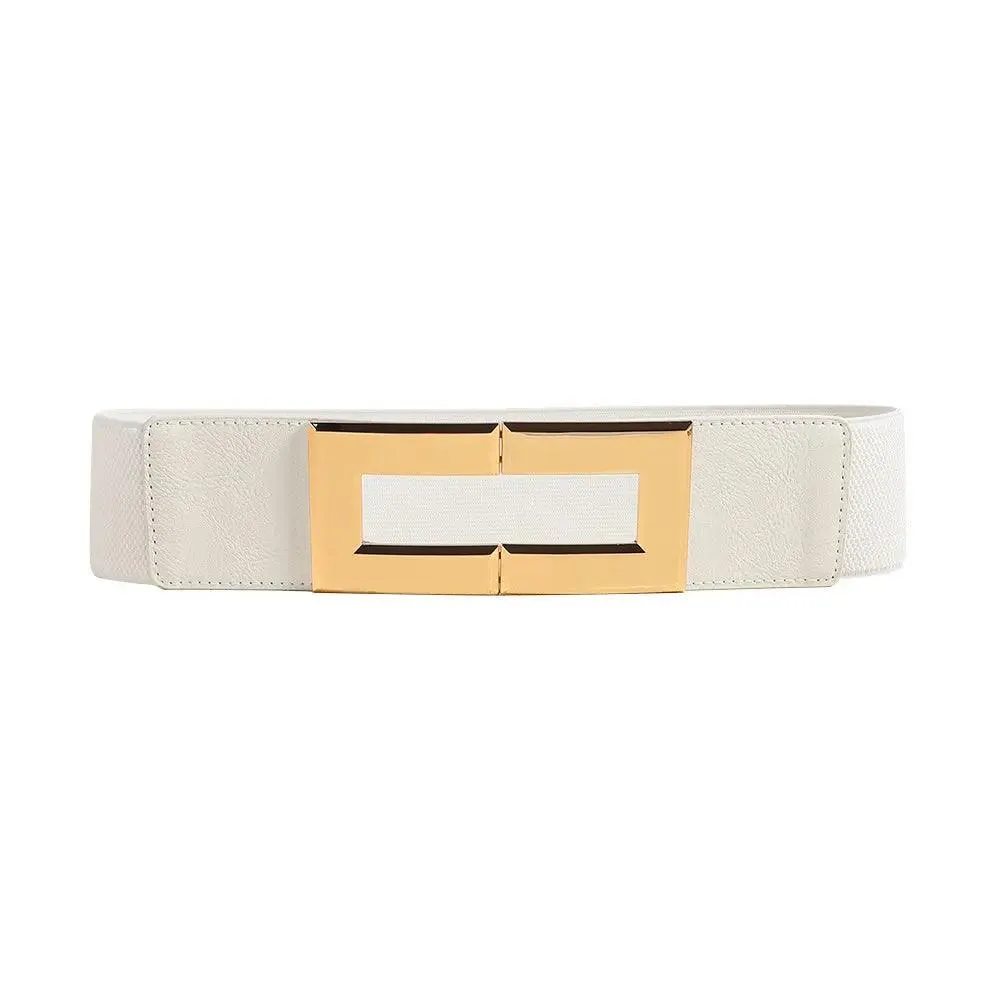 Elastic Wide Belt Multi Color
