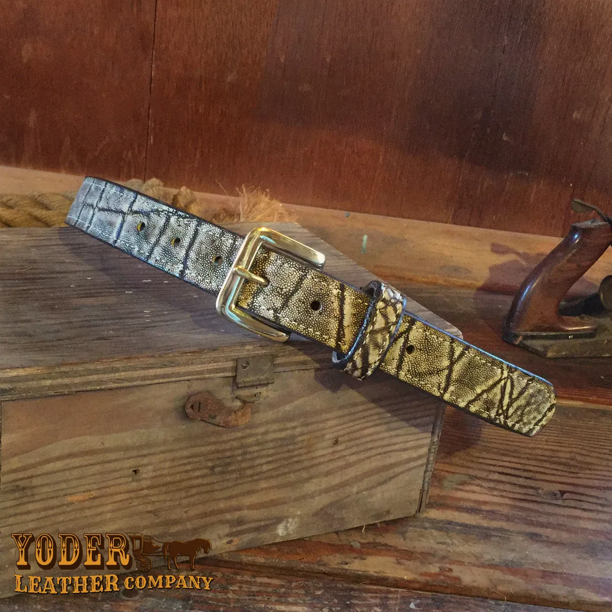 Elephant Treebark Money Belt